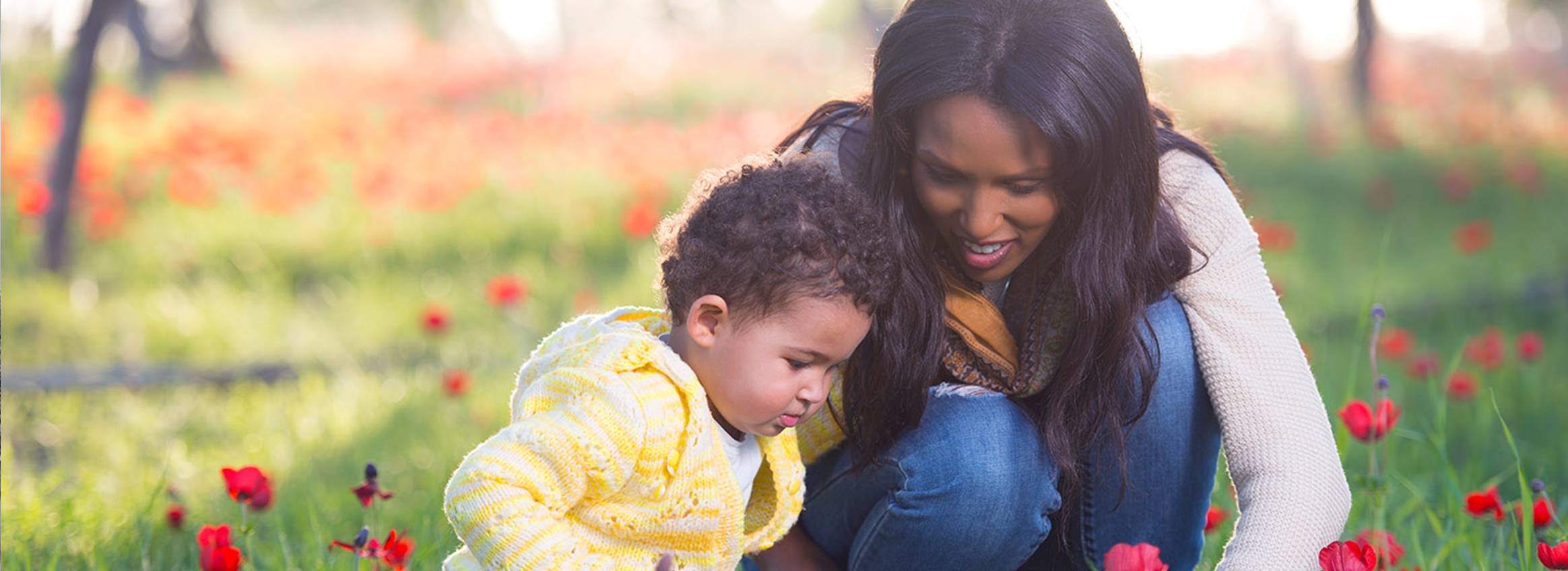 CHOP Vaccines on the Go Banner