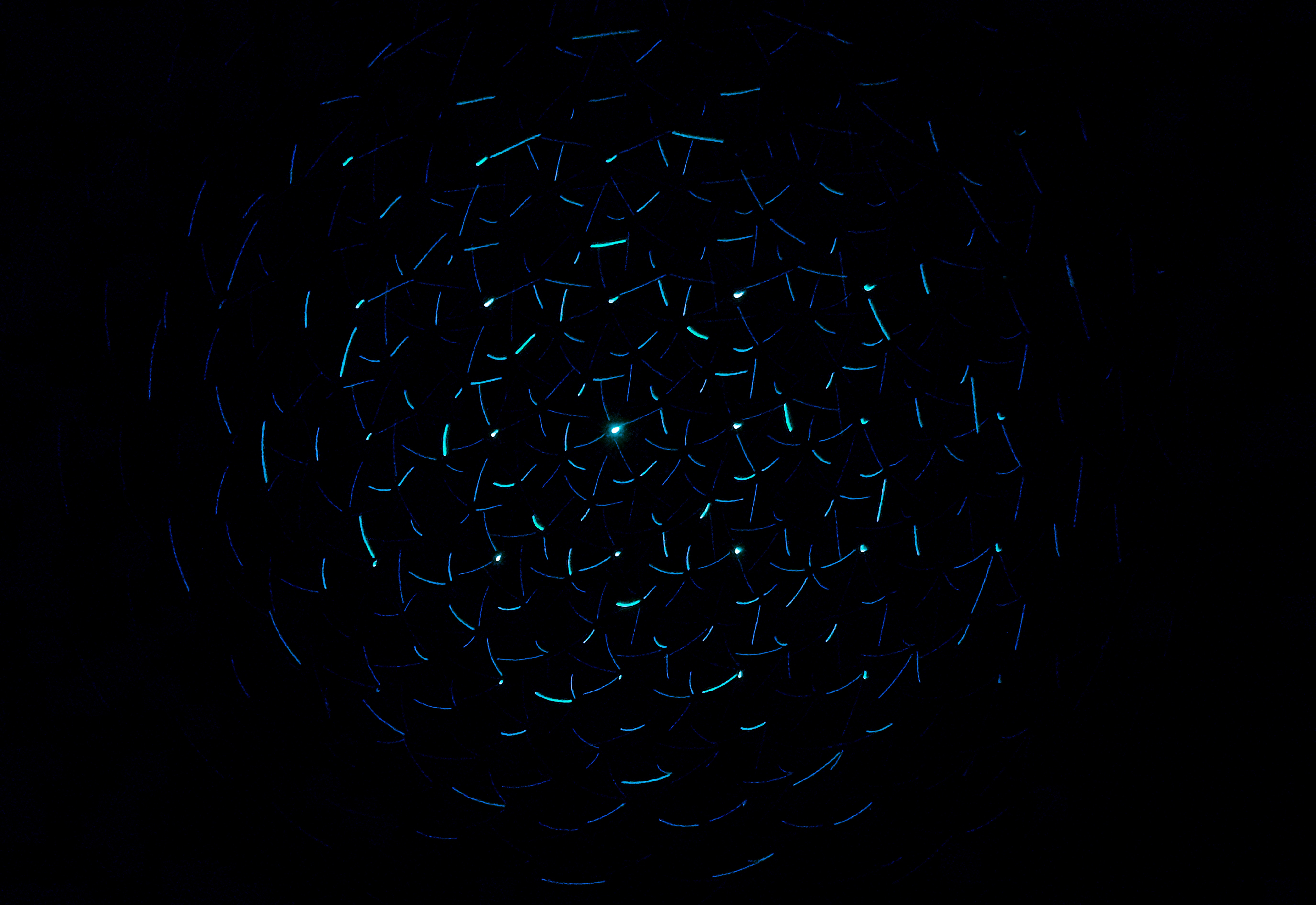 Abstract