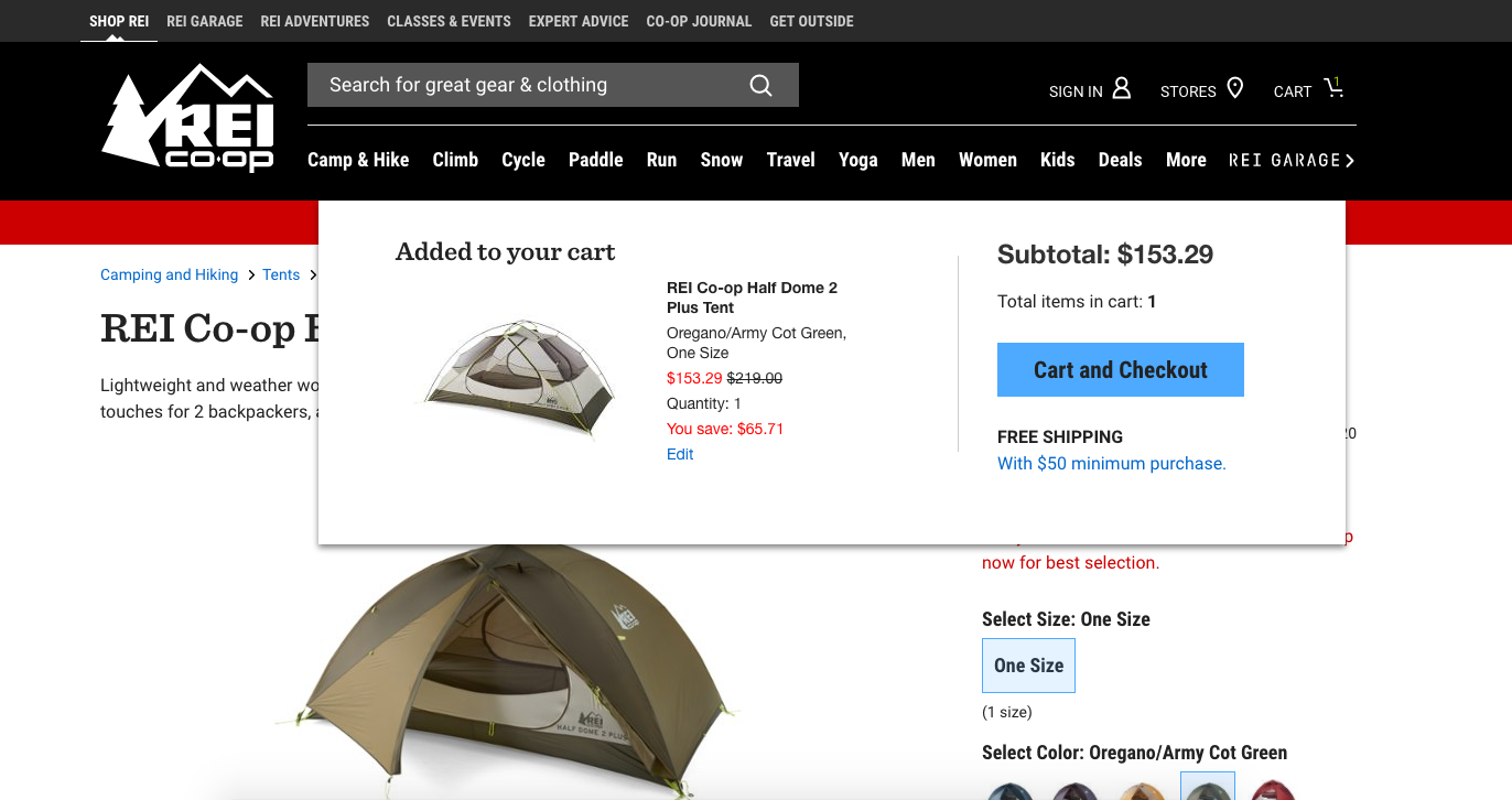 REI tent