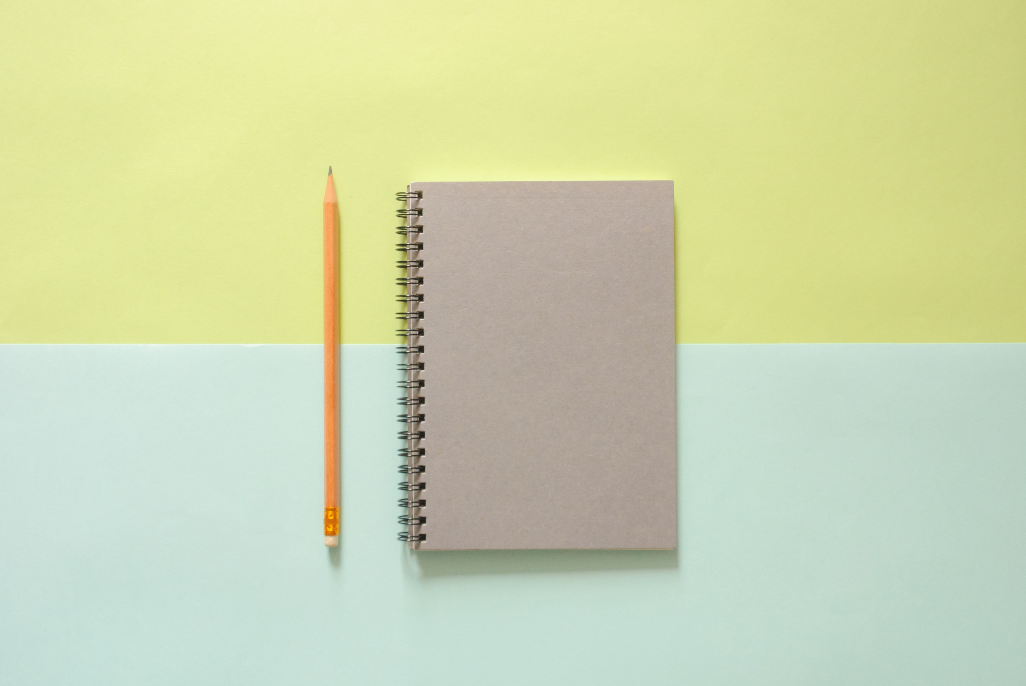 Journal