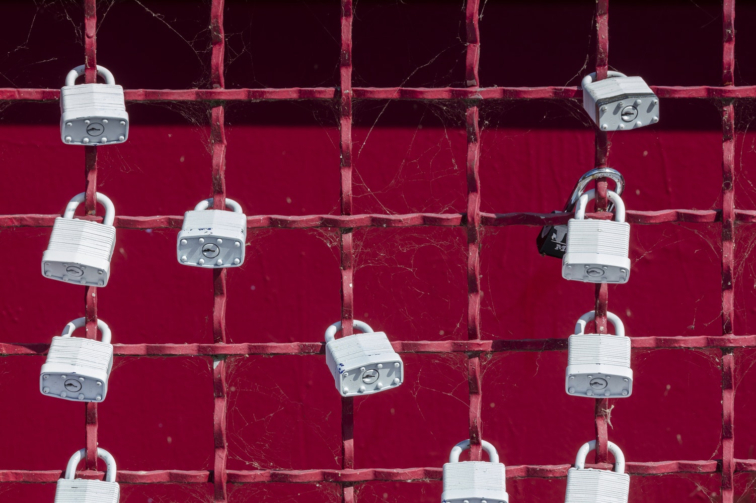 Locks on a red fence Locks on a red fence
